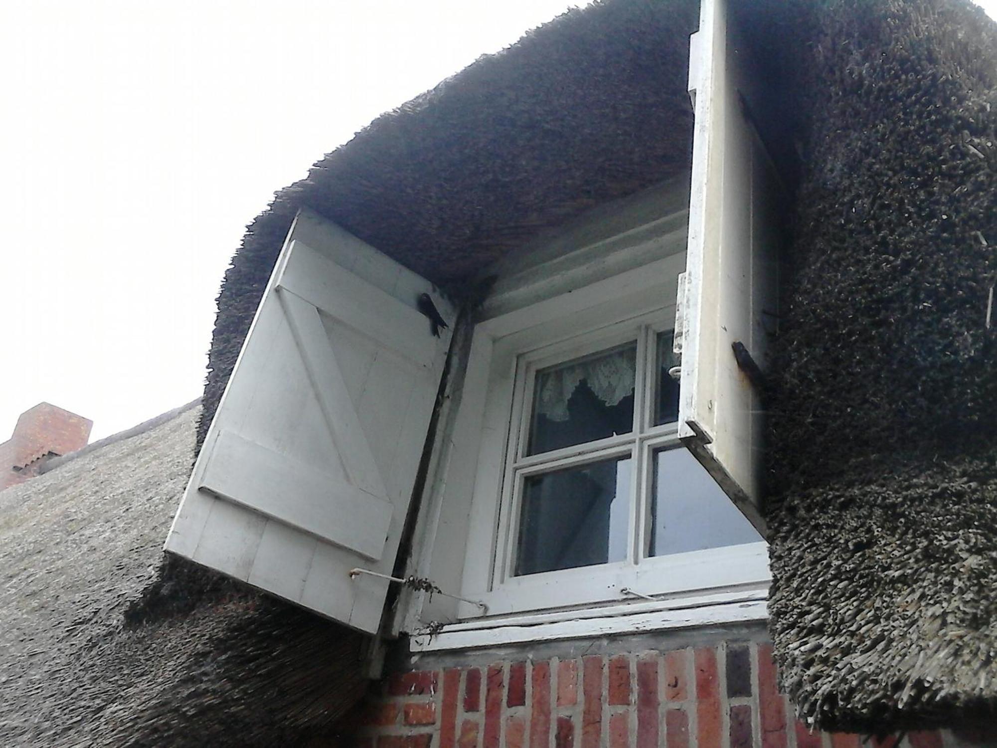 Friesenhaus Am Meer Dagebuell Ngoại thất bức ảnh